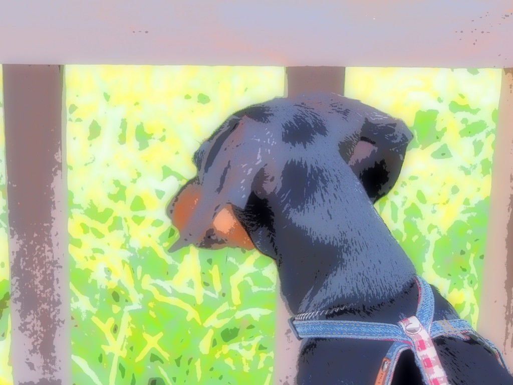 20130714028
