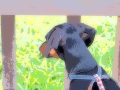 20130714028