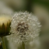 20120429016