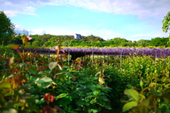 20120511076