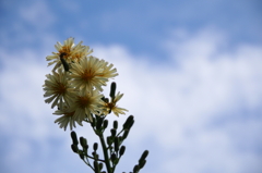 20120930022