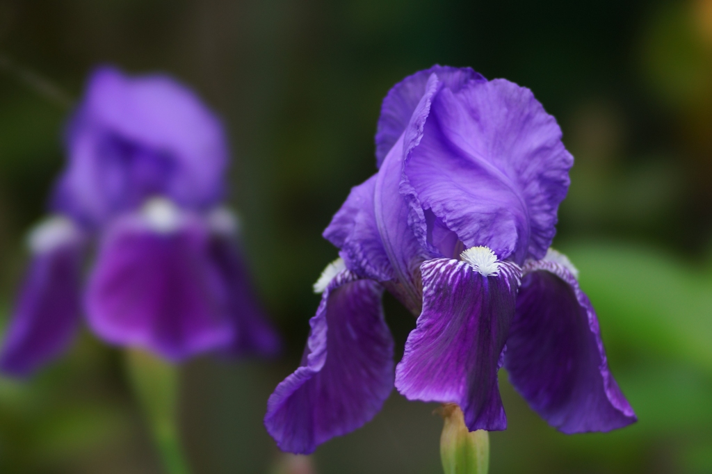 20120501017
