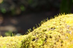 20120319044