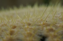 20120319014
