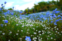 20120511057