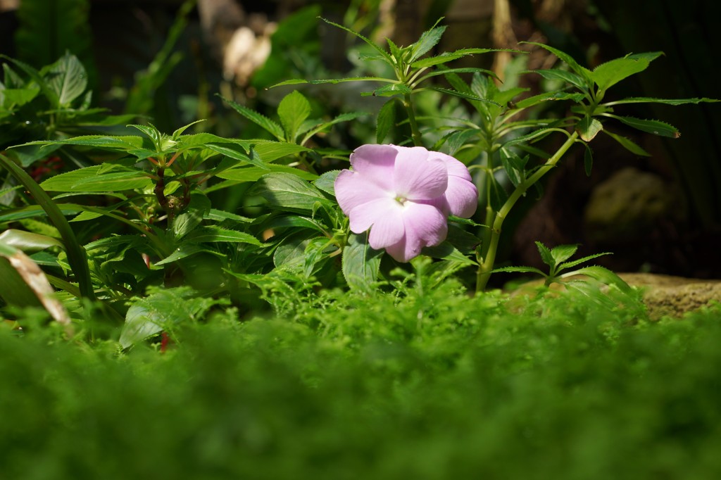 20120319054