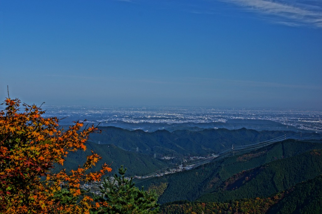 20111117056