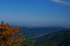 20111117056