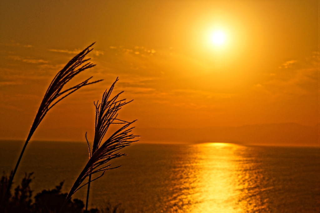 夕日