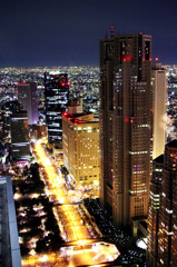 パークハイアットからの夜景