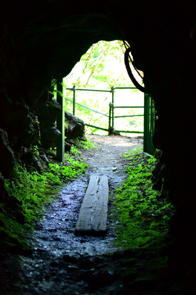 風の通り道(R)