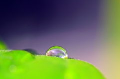 雫