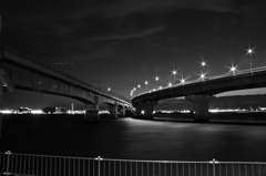 IMG_1186-1JPG