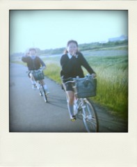so905ics 070-pola