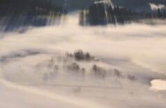 霧が作り出す風景