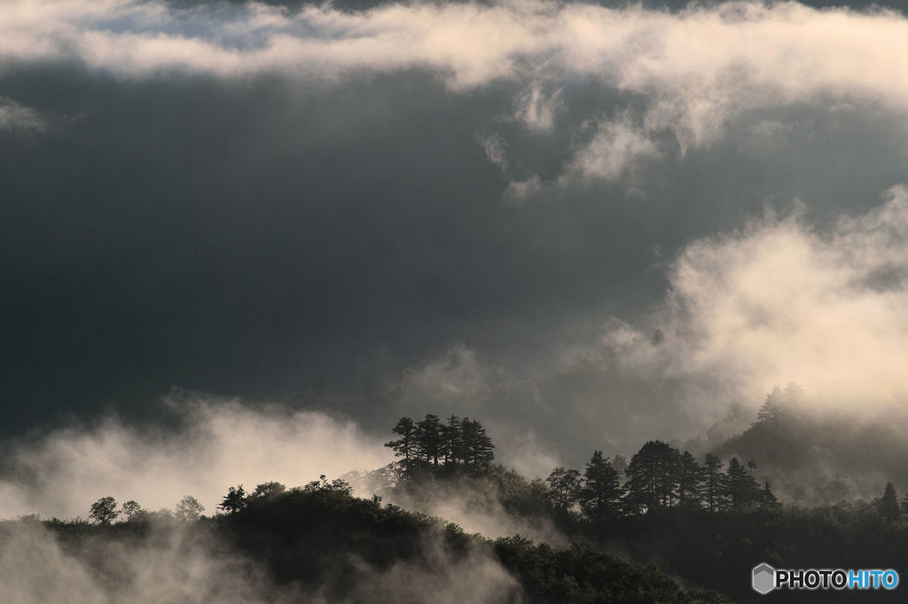 霧の風景