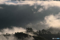 霧の風景