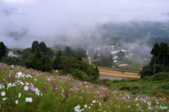 秋色の山古志