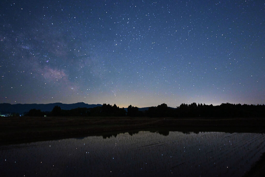 星降る水田