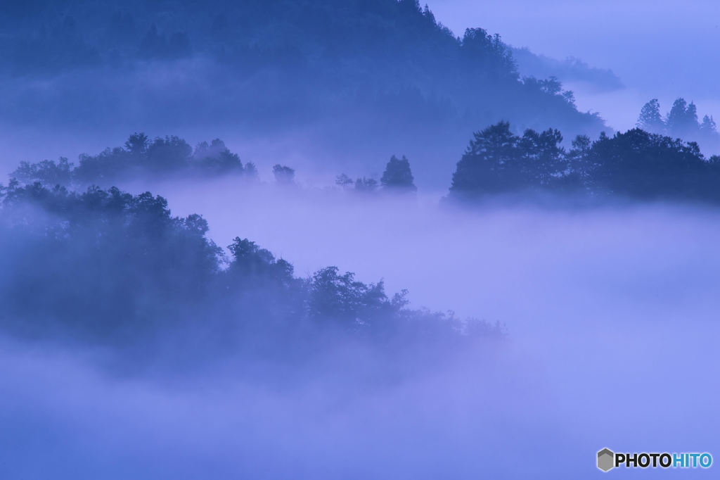 霧の光景