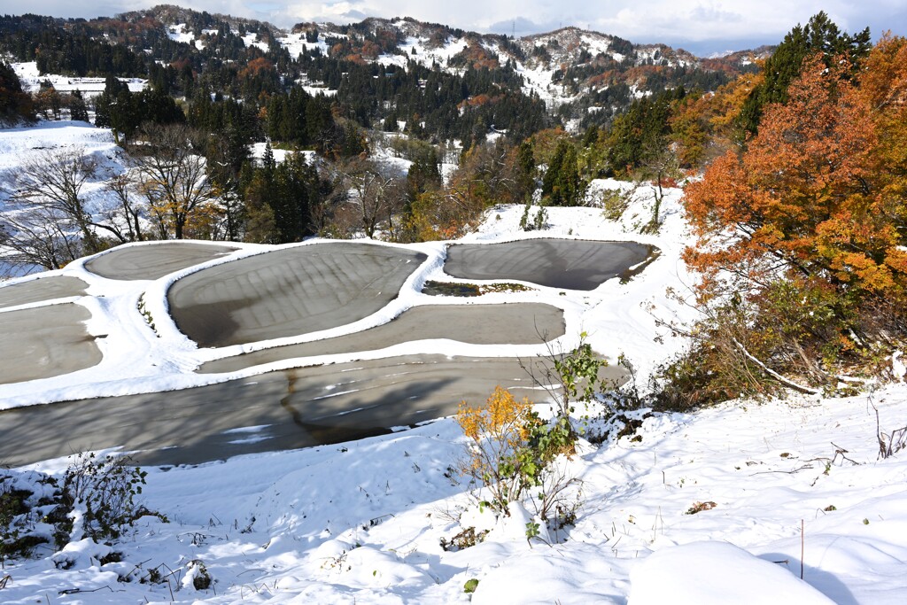 棚田雪景色