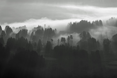 里山霧の風景