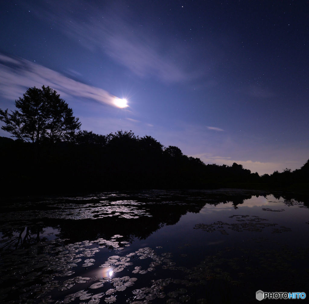 月明かりの野池