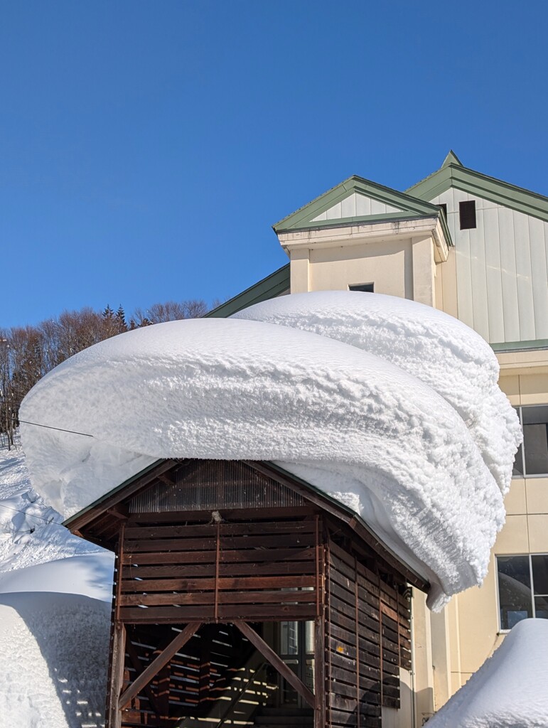 豪雪の記録