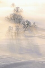 朝日と霧の光景