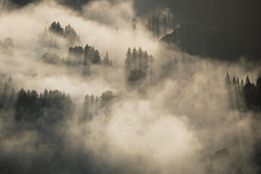 好きな霧の風景