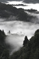 白と黒の風景