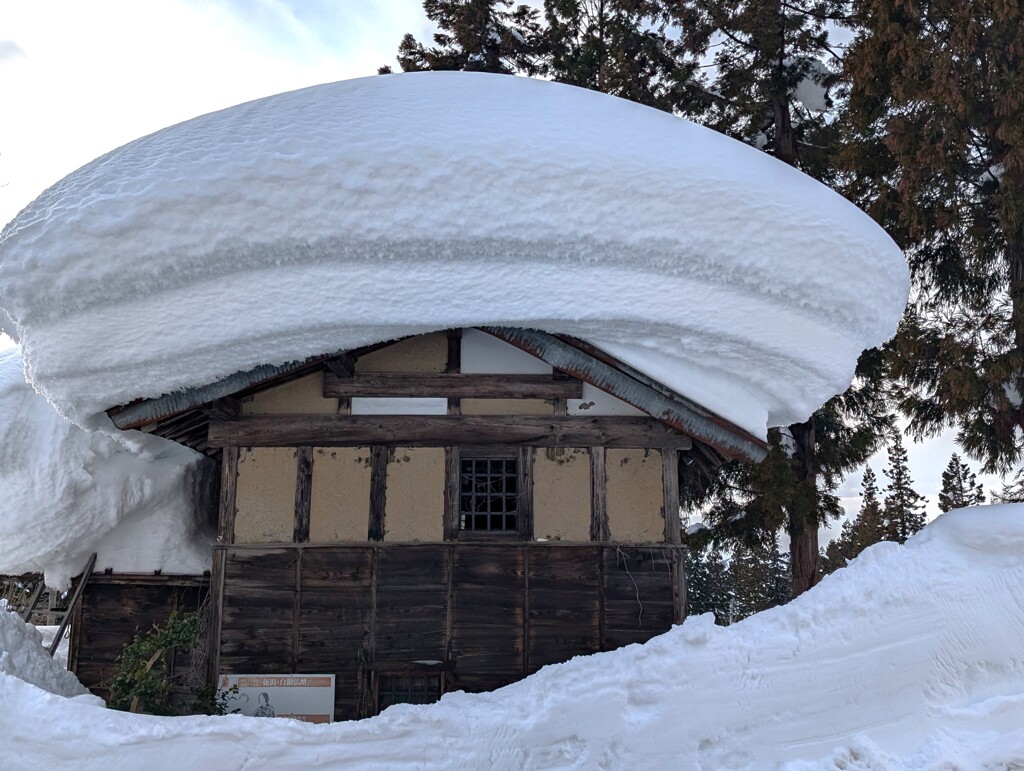豪雪の記録