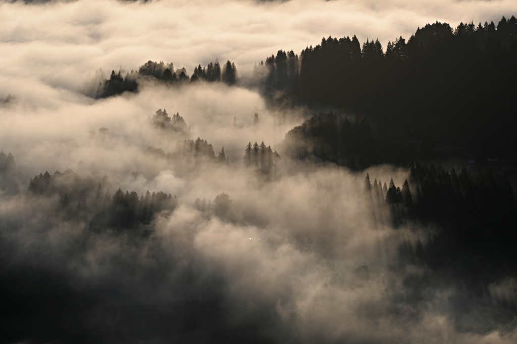 雲海の山古志