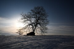 月明りと雪の風景