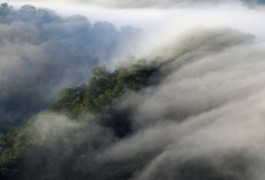 滝雲の情景