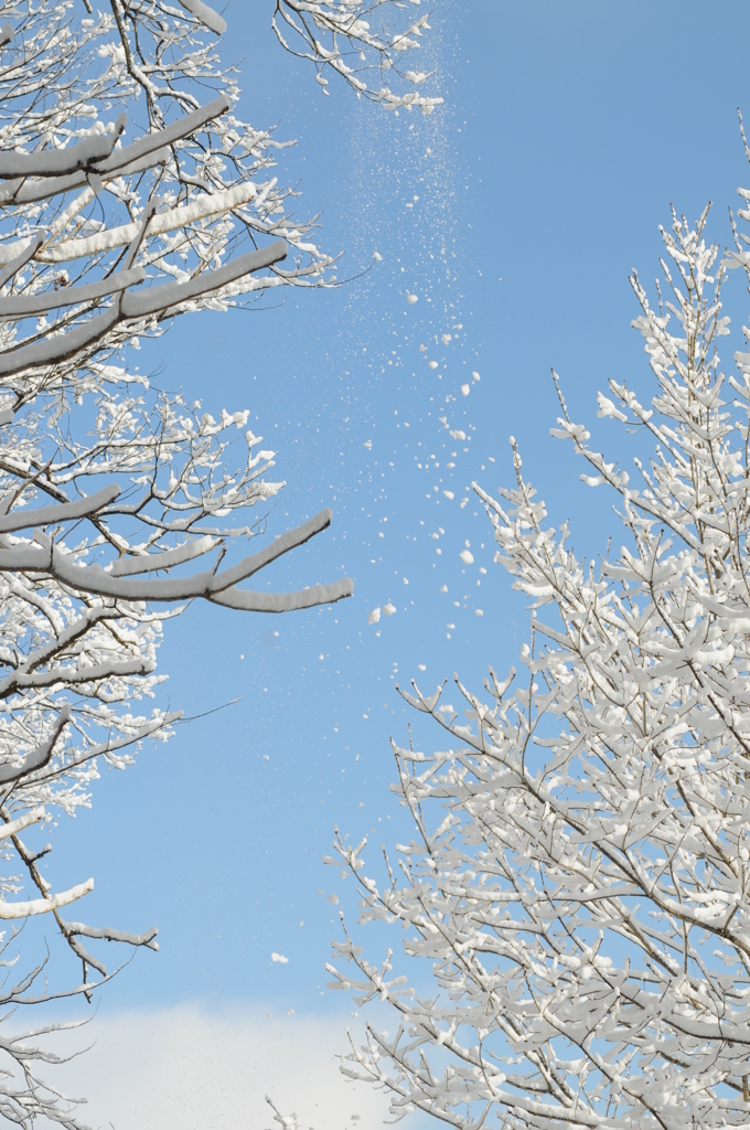 青空に舞う雪