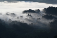 朝の霧