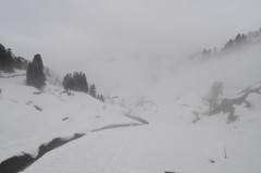 雪と霧の里山