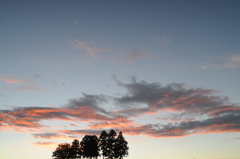 今日の空