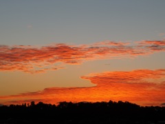 夕焼け