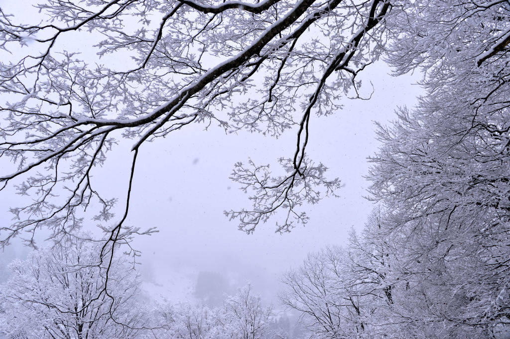 雪景色