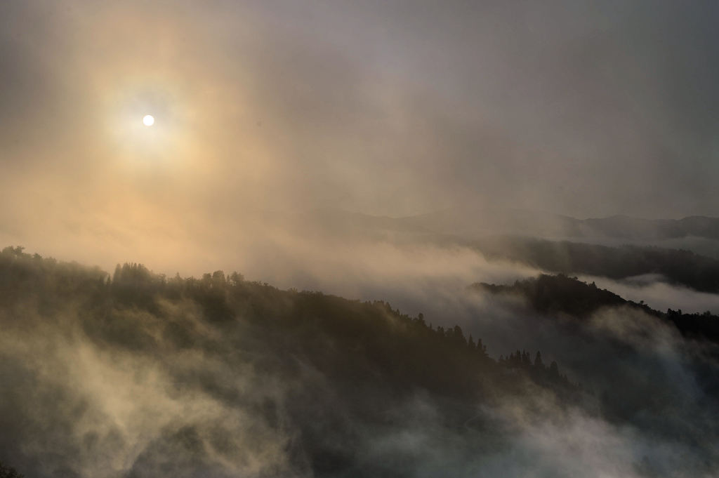 霧の光景