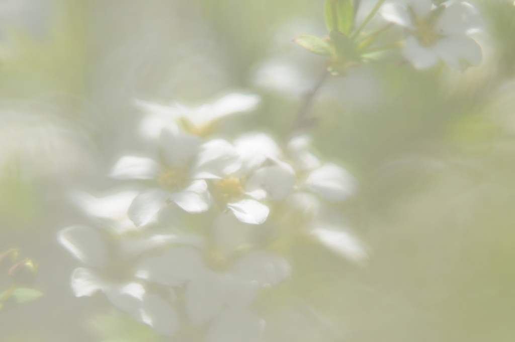穏やかな時