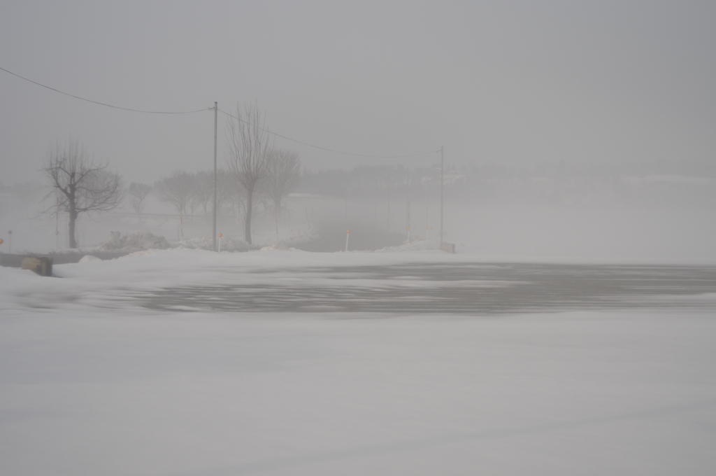 春を感じる光景