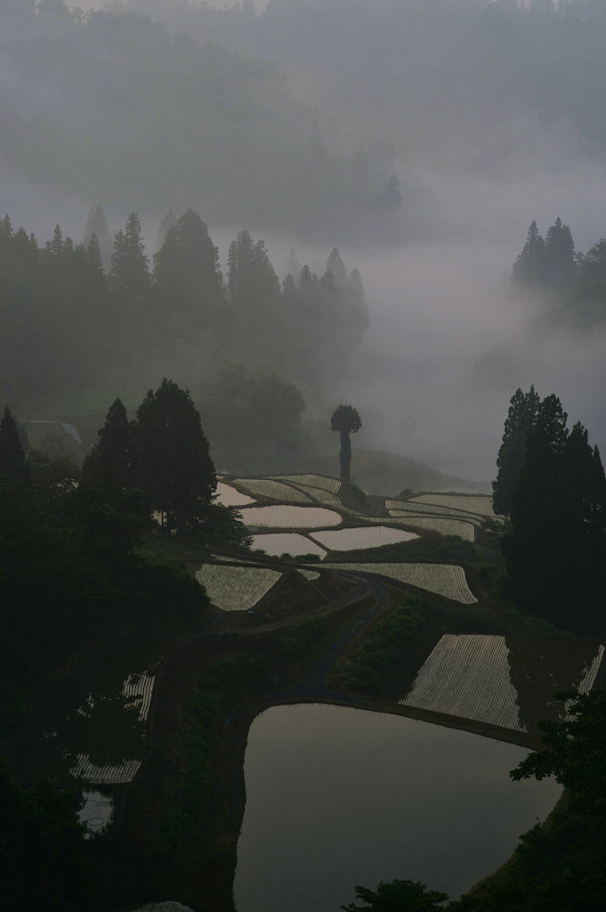 霧の里山