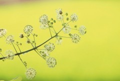 光に包まれて