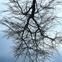 寂しい風景から冬が始まる