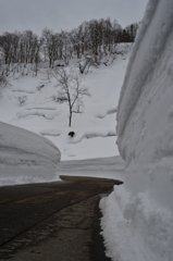 雪壁の向こうに