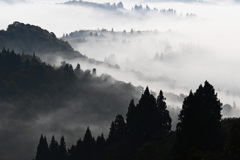 雲海の谷