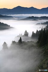 雲海山水画